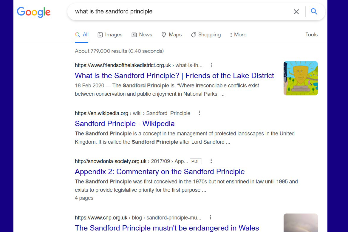Blog at top of Google - screenshot