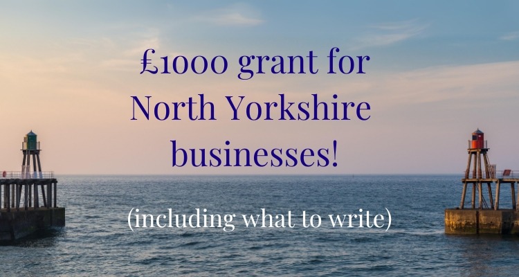 Small business grants for North Yorkshire - £1000! Against background of Whitby harbour entrance