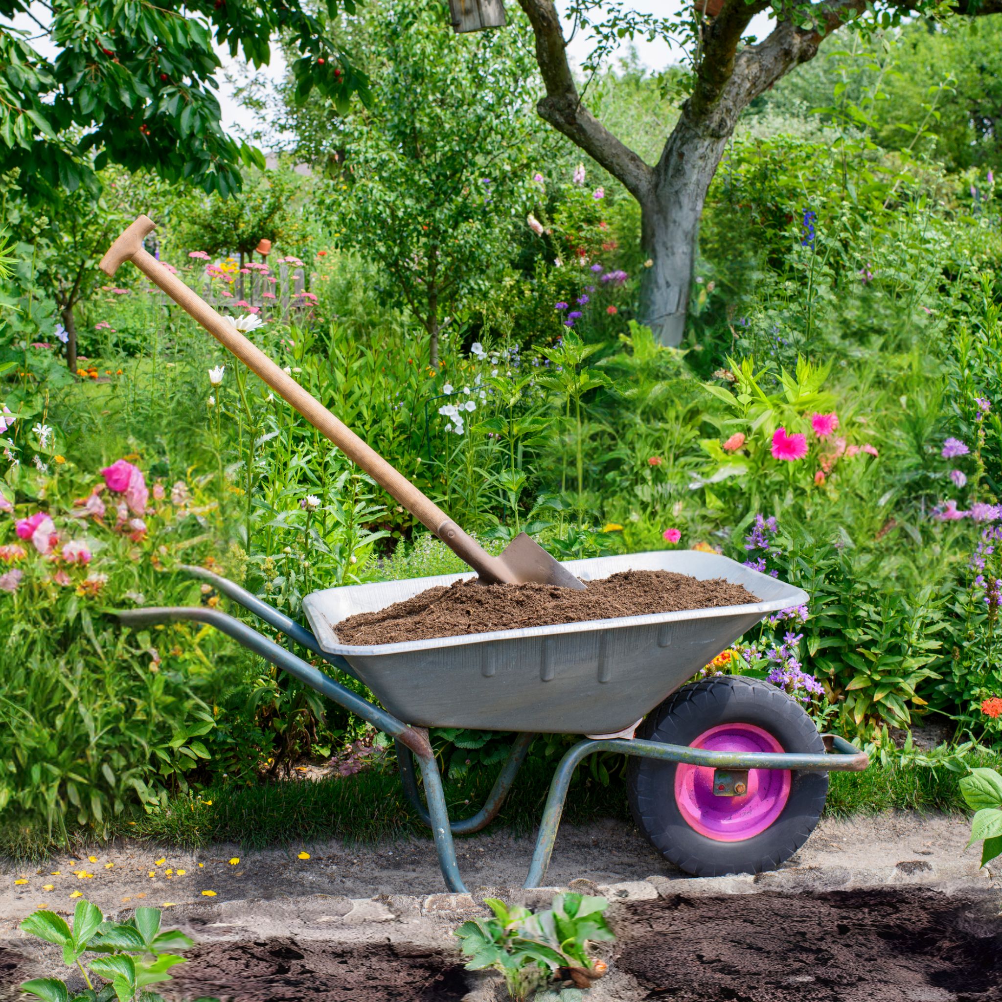 SEO revamp - spade in a wheelbarrow